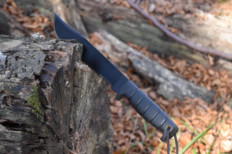 Wilderness Survival